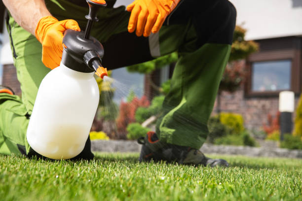 Pest Control for Restaurants in Newport, OR